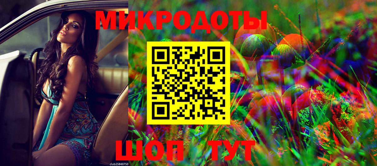 Галлюциногенные грибы Psilocybine cubensis Заволжье
