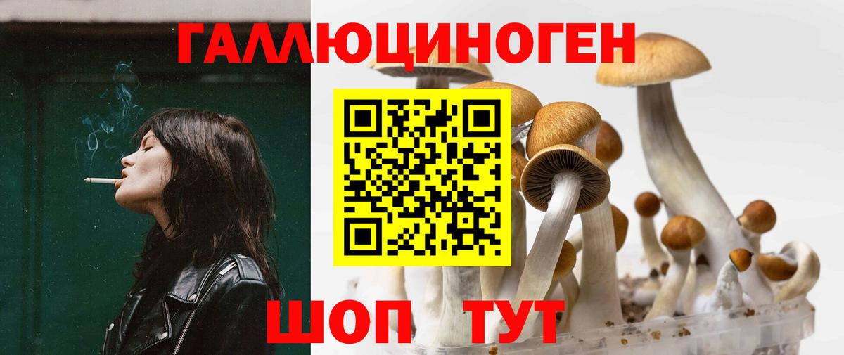 закладки  Псилоцибиновые грибы мицелий  Вход с VPN  Заволжье 